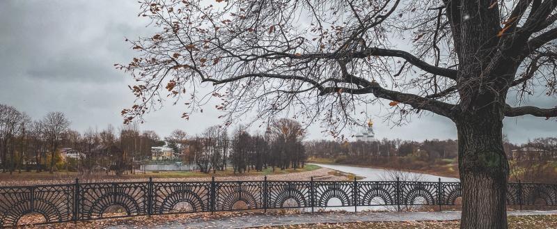 Фото Тимура Бойкова/Вологда-Поиск