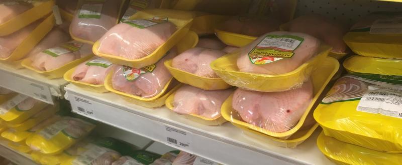 Фото: «Вологда-поиск»