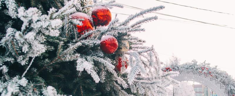 Фото: «Вологда-поиск»