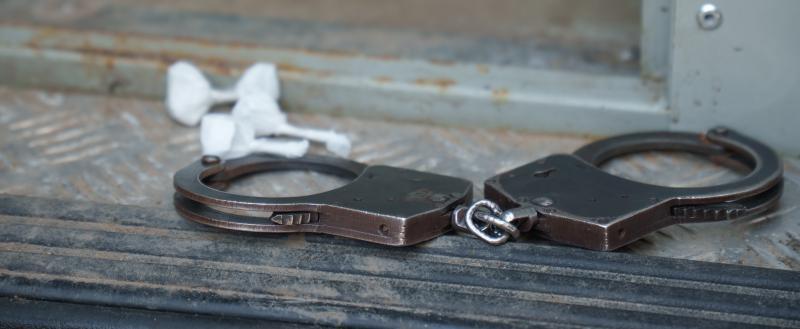 Фото: «Вологда-поиск»