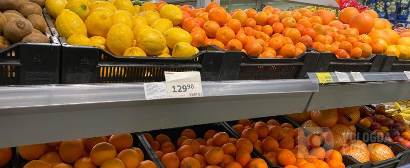 Фото: Вологда-поиск