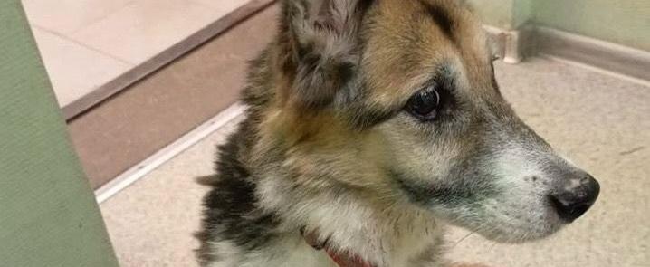 Принтскрин с видео