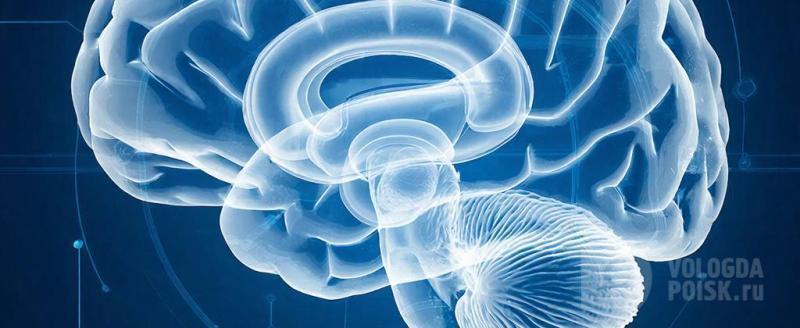 Фото: сгенерировано с помощью нейросети