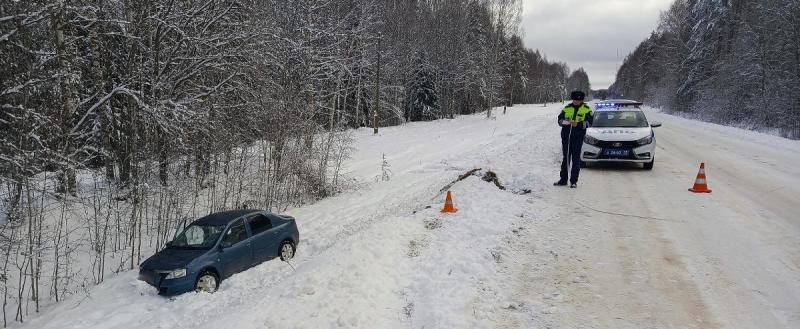 Фото пресс-службы УМВД по Вологодской области