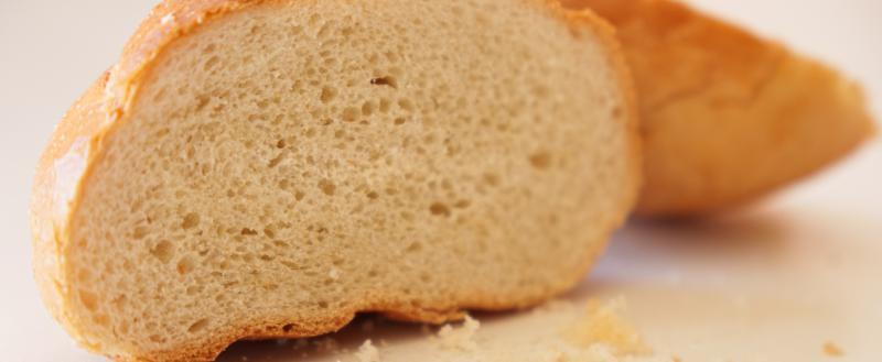 Фото Тимура Бойкова/Вологда-Поиск