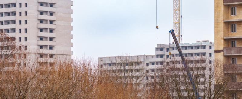 Фото Тимура Бойкова/Вологда-Поиск