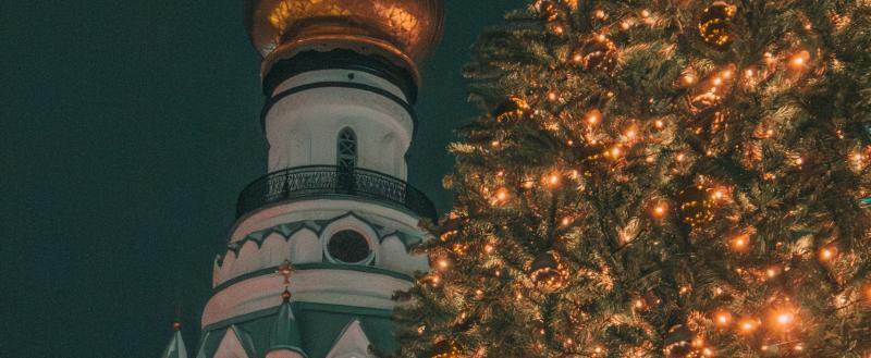 Фото Тимура Бойкова/Вологда-Поиск