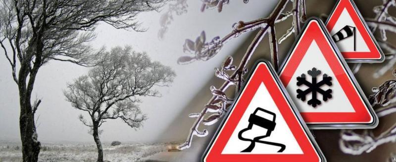 министерство транспорта Вологодской области ТГ