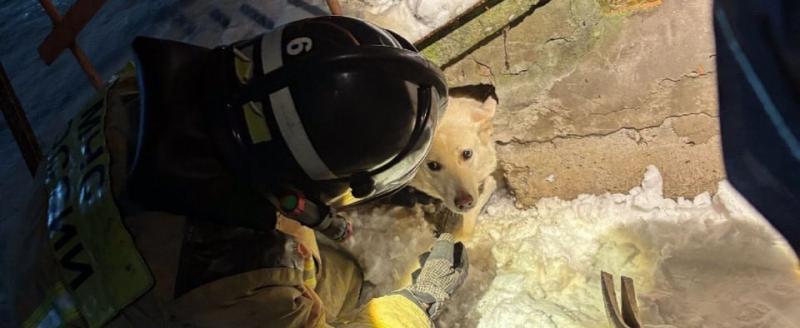 МЧС Вологодской области ТГ