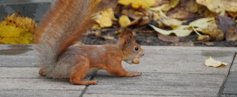 Фото: «Вологда-поиск»