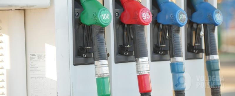 Фото: Вологда-поиск