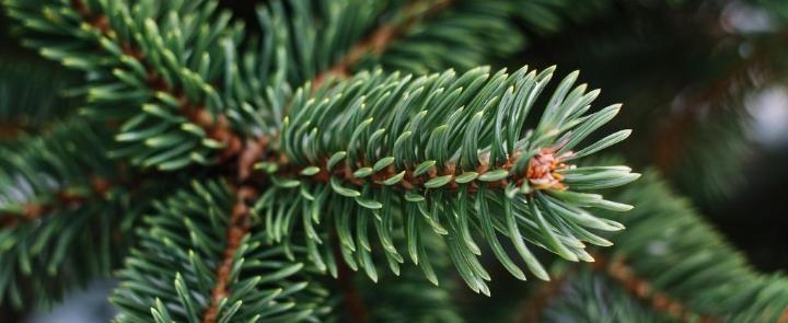 изображение сгенерировано ИИ 
