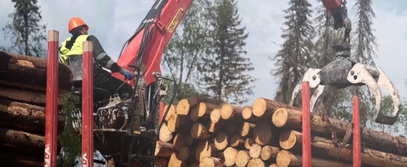 Вологодские лесозаготовители продолжают сокращать объёмы работы