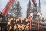 Вологодские лесозаготовители продолжают сокращать объёмы работы