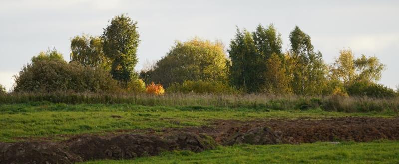 Фото Тимура Бойкова/Вологда-Поиск