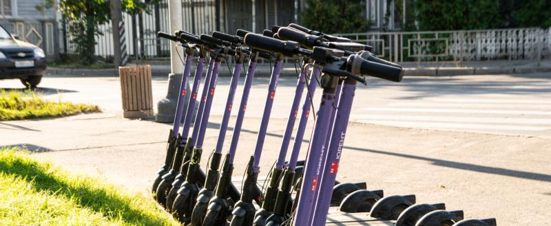 Фото: «Вологда-поиск»