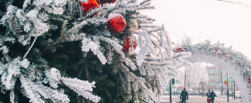 Фото: «Вологда-поиск»