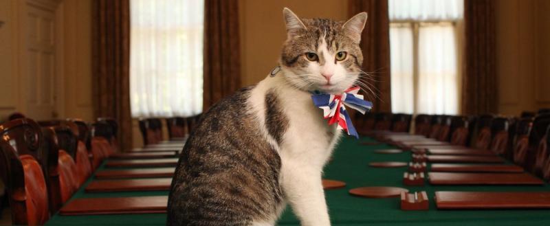 His Majestys Government