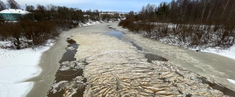 Фото Тимура Бойкова/Вологда-Поиск