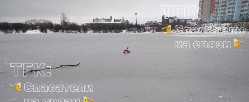 Фото из тг-канала вологодских спасателей