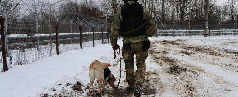 Фото пресс-службы УФСБ РФ по Вологодской области
