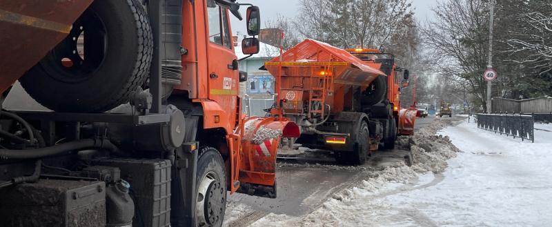 Фото Тимура Бойкова/Вологда-Поиск