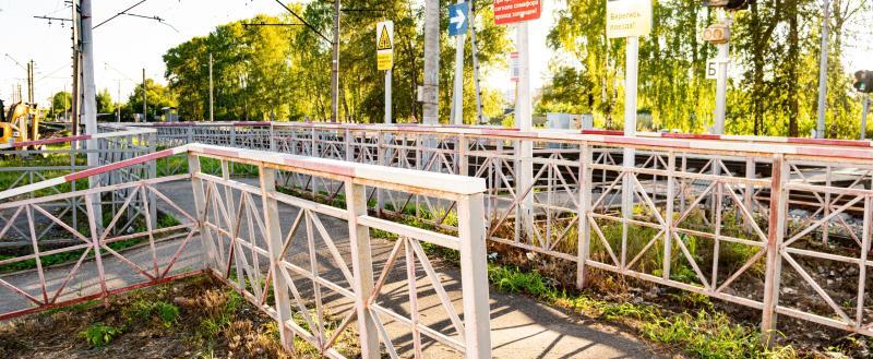 Фото: «Вологда-поиск»