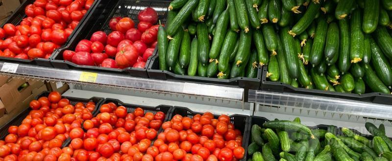 Вологда-поиск