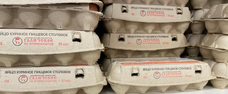 Фото: «Вологда-поиск»