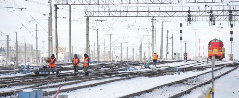 Фото: «Вологда-поиск»