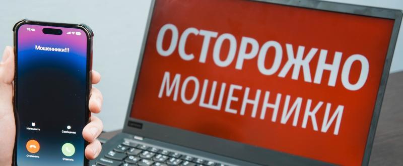 Фото: «Вологда-поиск»