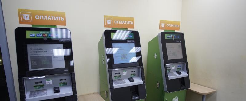 Фото: «Вологда-поиск»