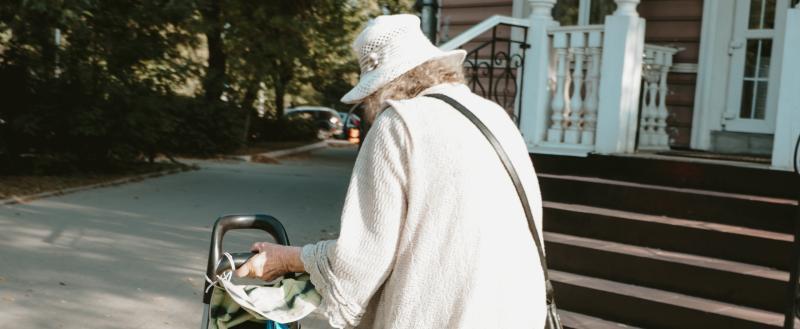Фото: «Вологда-поиск»