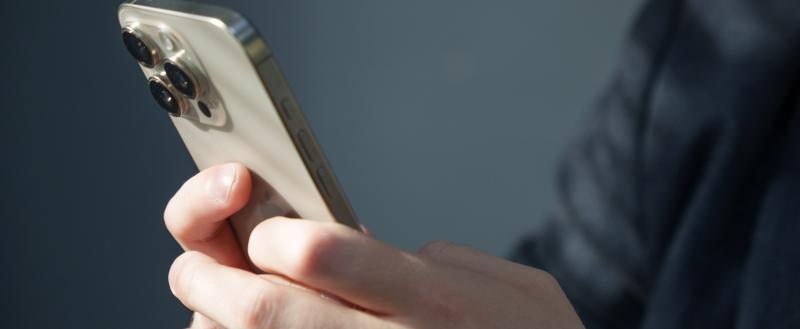 Фото: «Вологда-поиск»