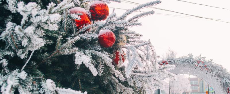 Фото: «Вологда-поиск»