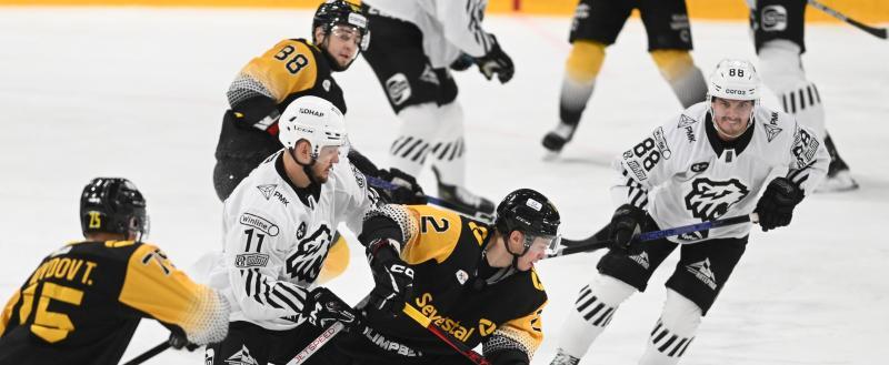 Фото: https://vk.com/hcseverstal