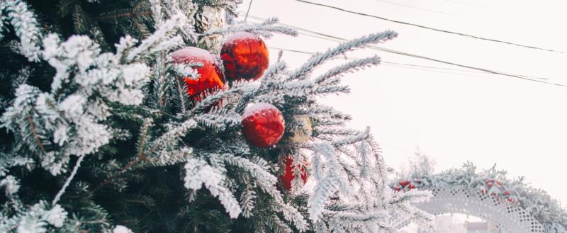 Фото: «Вологда-поиск»