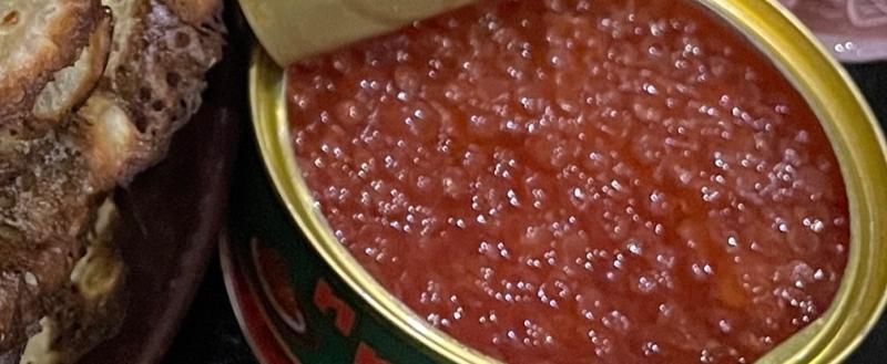 Фото: «Вологда-поиск»