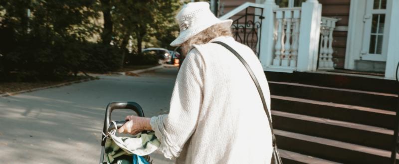Фото: «Вологда-поиск»