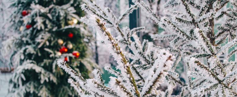 Фото: «Вологда-поиск»