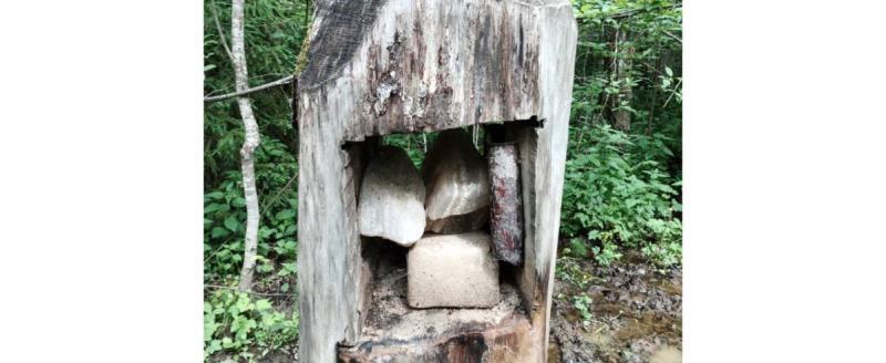 Фото: пресс-служба правительства Вологодской области