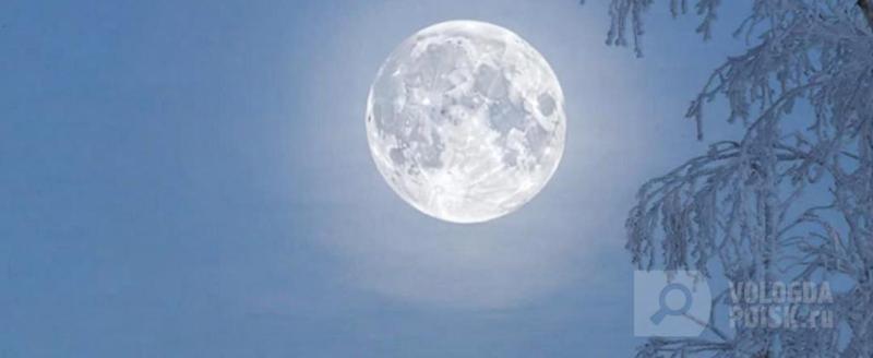 Фото: сгенерировано с помощью нейросети