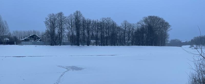 Фото Тимура Бойкова/Вологда-Поиск