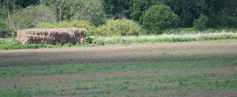 Фото Тимура Бойкова/Вологда-Поиск