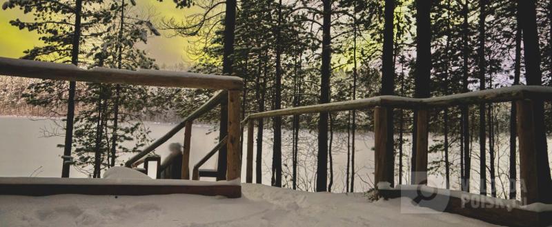 Вологда-Поиск