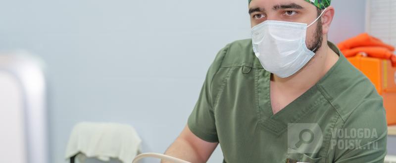 Фото: Вологда-поиск