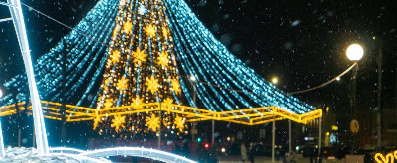 Фото Тимура Бойкова/Вологда-Поиск