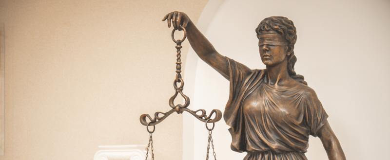 Фото Тимура Бойкова/Вологда-Поиск