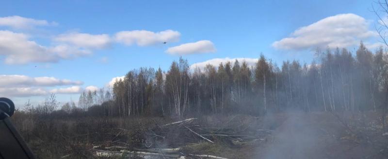 Фото Анны Язинской/Вологда-Поиск