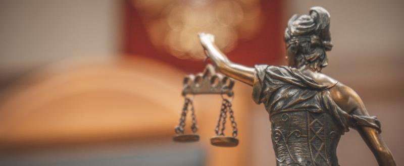 Фото Тимура Бойкова/Вологда-Поиск